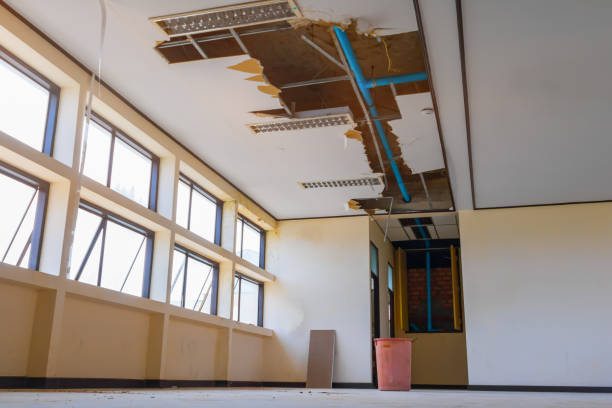 Best Water damage restoration near me  in Independence, OH