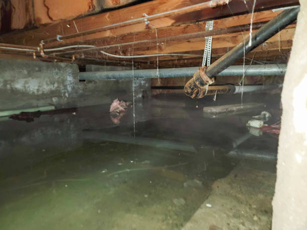 Water damage restoration process in Independence, OH