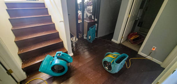 Best 24-hour water damage restoration  in Independence, OH