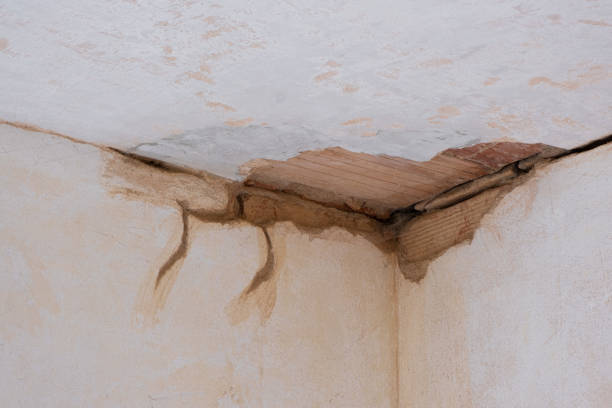 Best Emergency water damage restoration  in Independence, OH