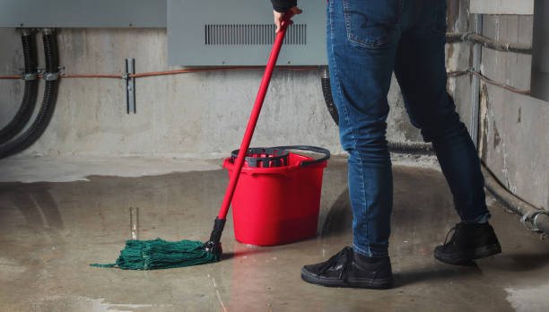 Best Commercial water damage restoration  in Independence, OH