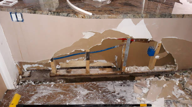 Best Mold removal after water damage  in Independence, OH