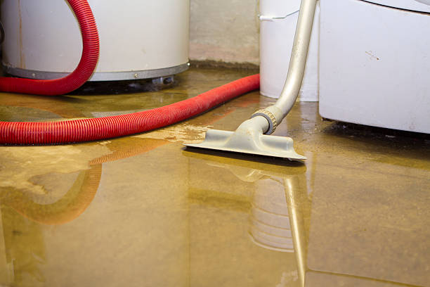  Independence, OH Water damage restoration Pros