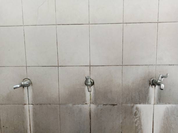 Best Flood restoration services  in Independence, OH