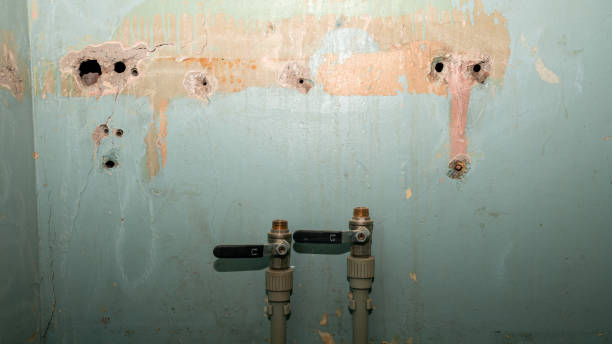 Best Water damage restoration near me  in Independence, OH