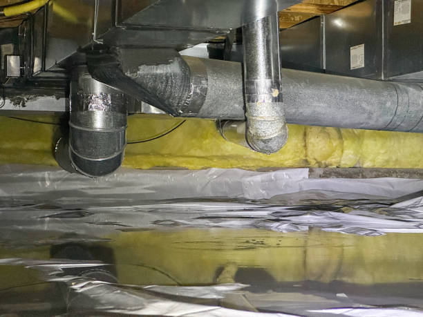 Best Basement water damage restoration  in Independence, OH