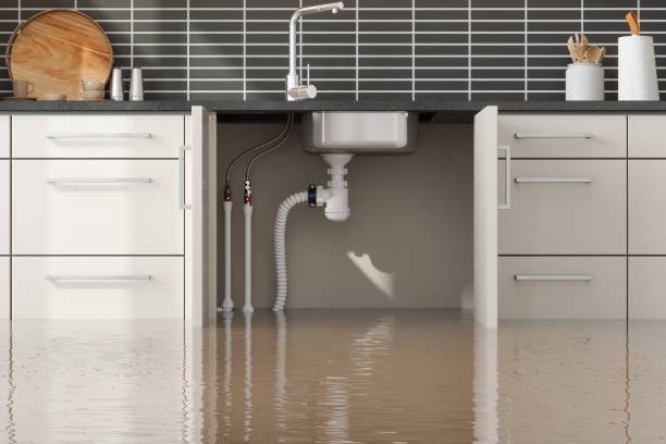 Best Water damage restoration process  in Independence, OH