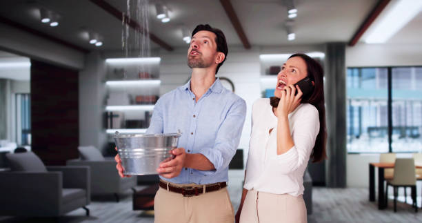 Best Water damage contractors near me  in Independence, OH